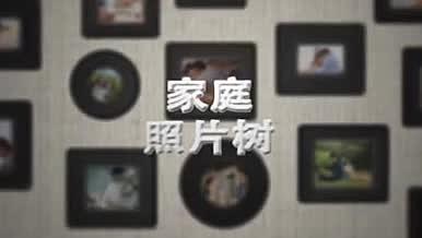 婚恋家庭照片树图像展示AE模板视频的预览图
